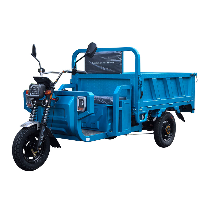 Power Tools King - Tricycle électrique, scooter domestique, chariot de